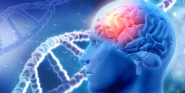 Beneficios de la Ashwagandha para la salud