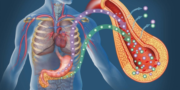 Cómo controlar el exceso de insulina y los picos de glucosa en sangre