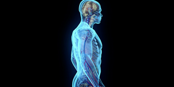 Frenar la osteoporosis es posible