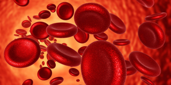 Deficiencia de hierro y tratamientos naturales para la anemia