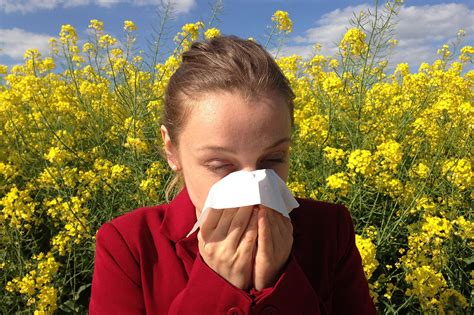 Traitements homéopathiques de l’allergies au pollen