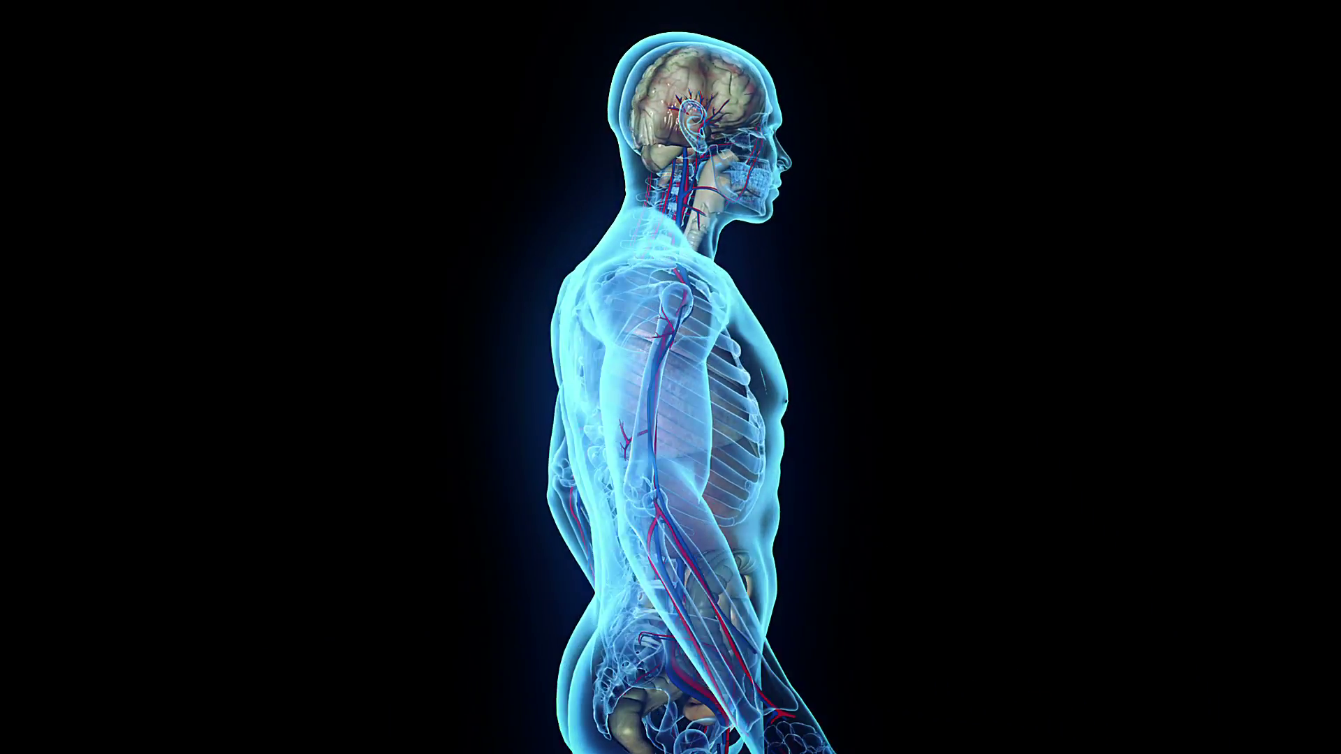 Frenar la osteoporosis es posible